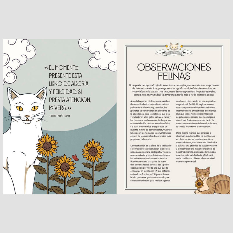Libro - "Gatos y Meditación" de Valerie Oula