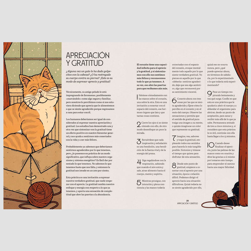Libro - "Gatos y Meditación" de Valerie Oula