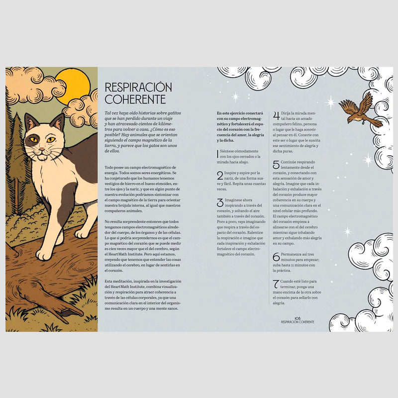 Libro - "Gatos y Meditación" de Valerie Oula
