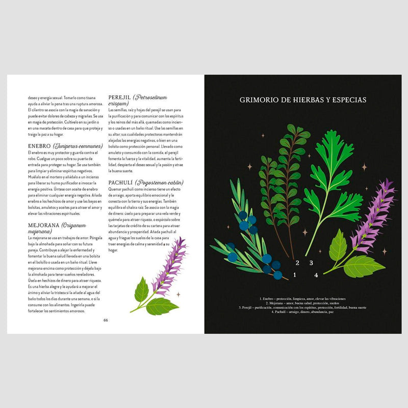 Libro - "Guía de la bruja del bosque. Magia de la Tierra" de Lindsay Squire