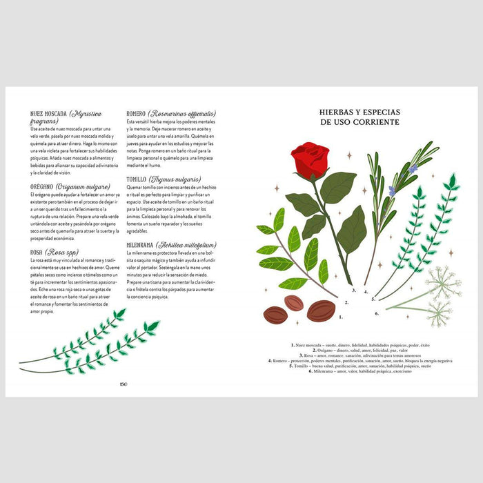 Libro - "Guía de la bruja del bosque. Magia Natural" de Lindsay Squire