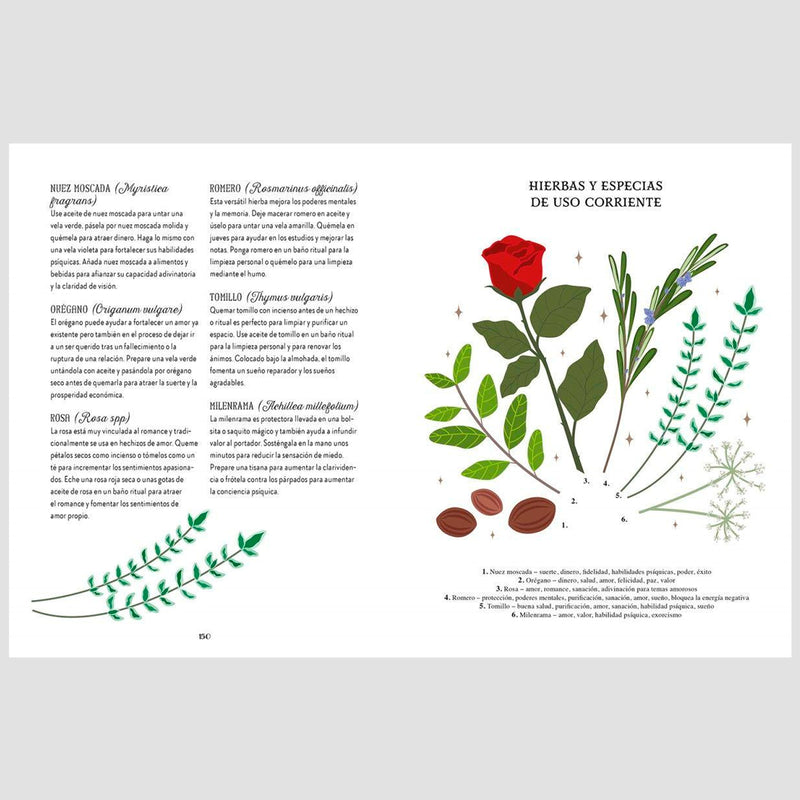 Libro - "Guía de la bruja del bosque. Magia Natural" de Lindsay Squire