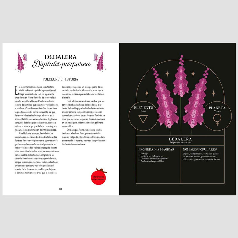 Libro - "Guía de la bruja del bosque. Magia Tradicional" de Lindsay Squire