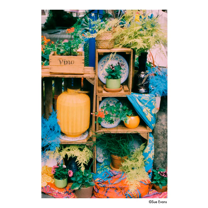 Película - Harman Phoenix II 200 36Exp.