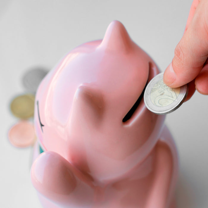 Hucha - Lucky Cat Rosa