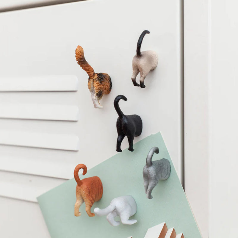 Set Imanes - Gatos 🐈