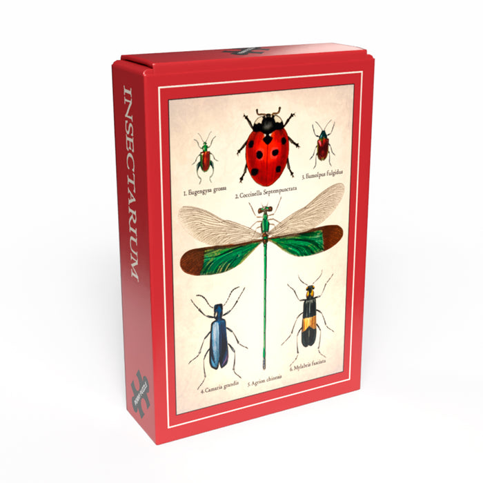 Puzzle Mini - Insectarium 🐞