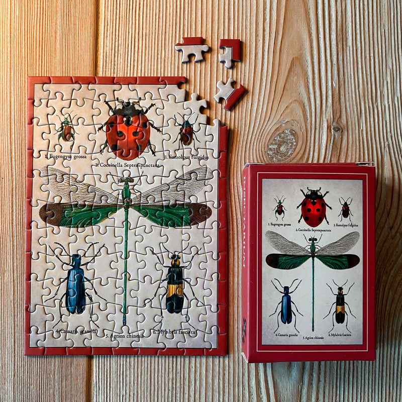 Puzzle Mini - Insectarium 🐞