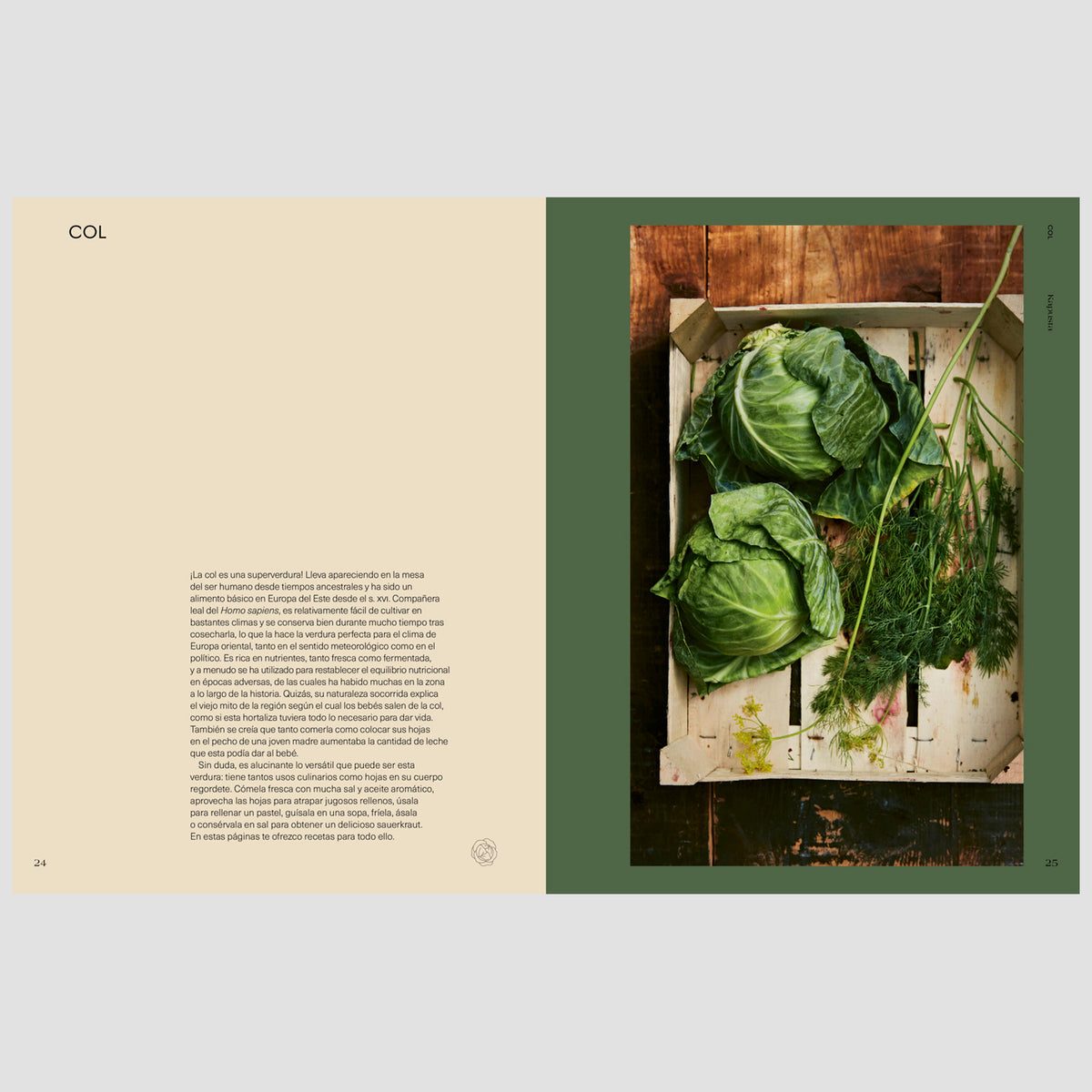 Libro - "Kapusta" de Alissa Timoshkina