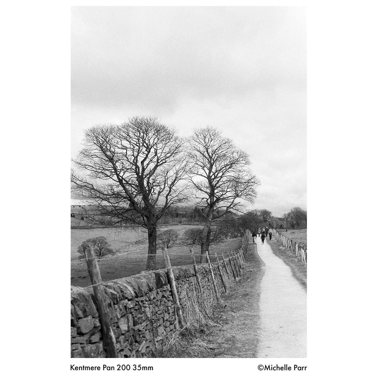 Película - Kentmere Pan 200 36 Exp.