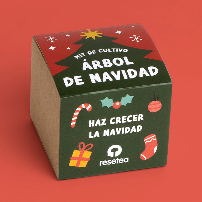 Kit autocultivo - Árbol de Navidad 🎄