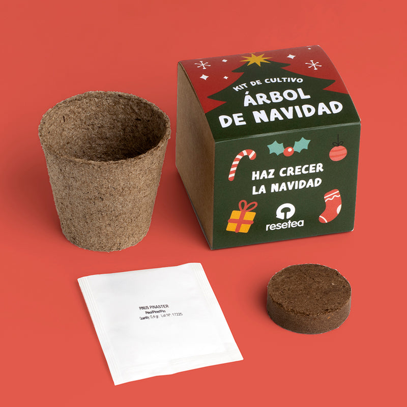 Kit autocultivo - Árbol de Navidad 🎄