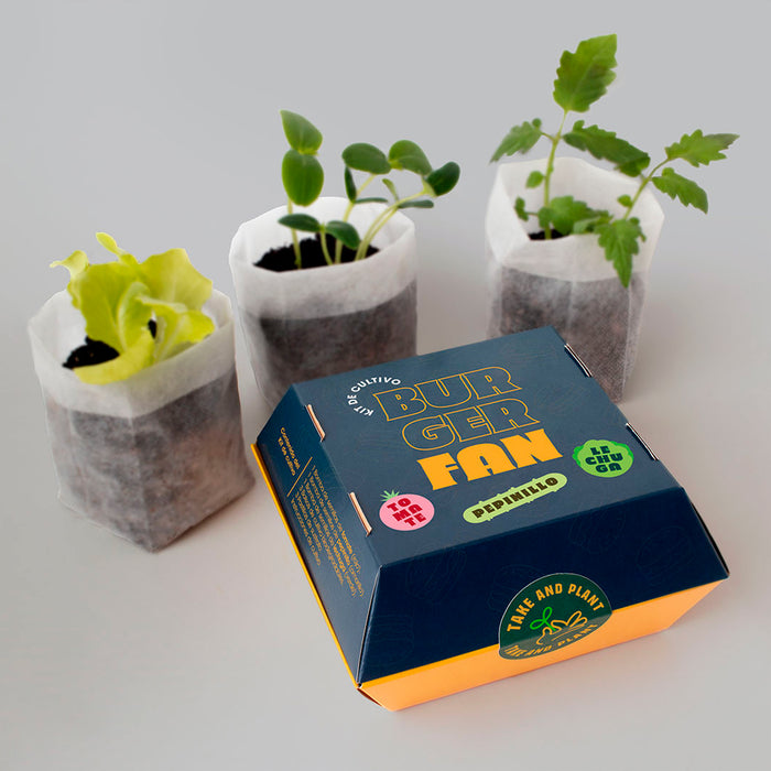 Kit autocultivo - Burguer Fan 🍔