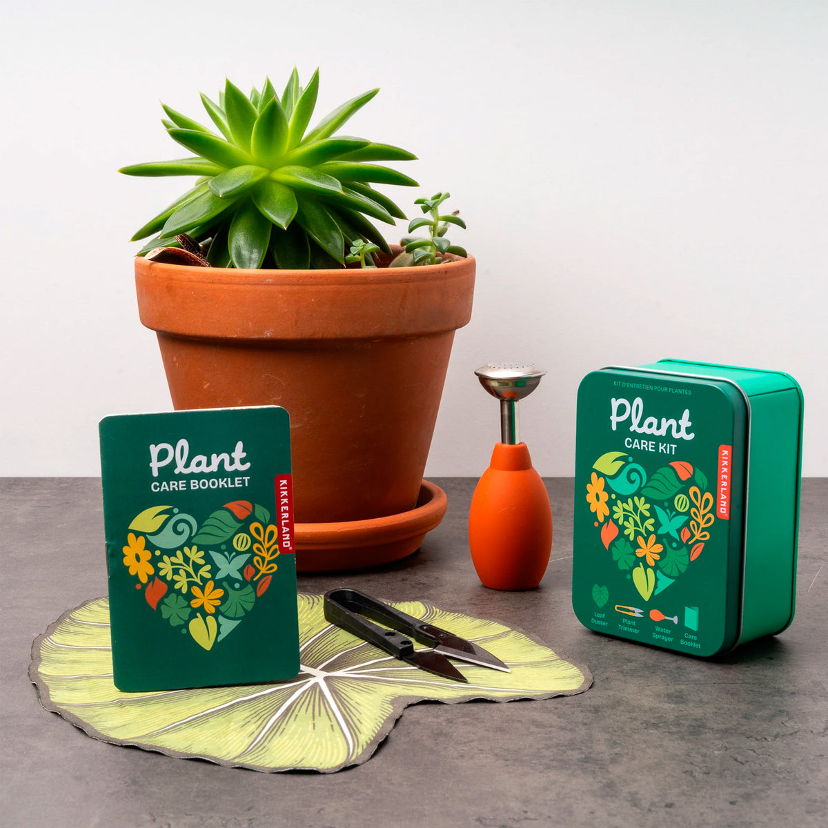 Kit para el cuidado de las plantas ✂️🌿