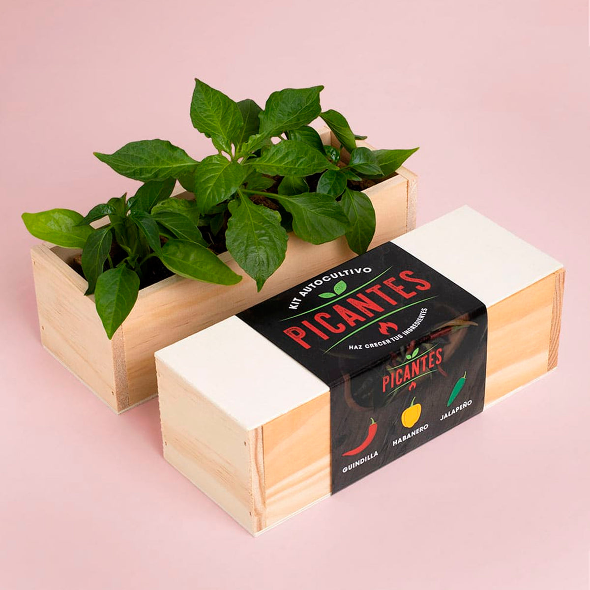 Kit autocultivo - Picantes 🌶️🔥