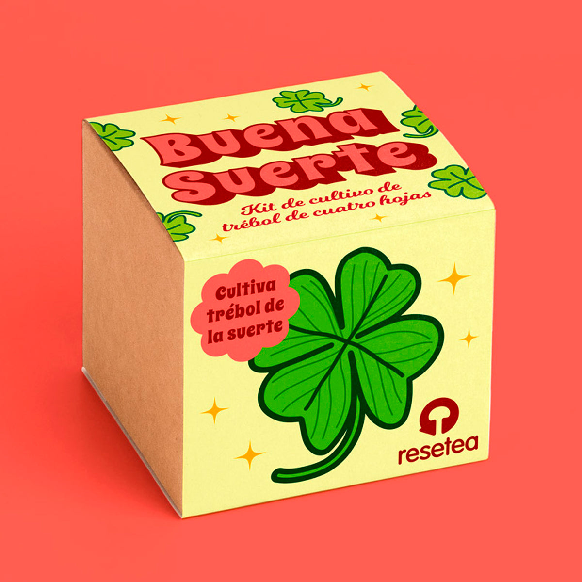 Kit autocultivo - Buena Suerte 🍀