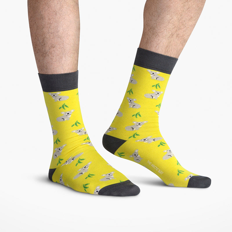 Calcetines - Koala Amarillo 🐨
