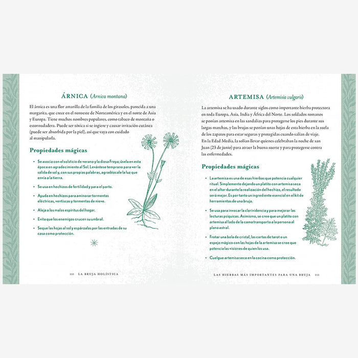 Libro - "La bruja holística" de Shawn Robbins y Leanna Greenaway