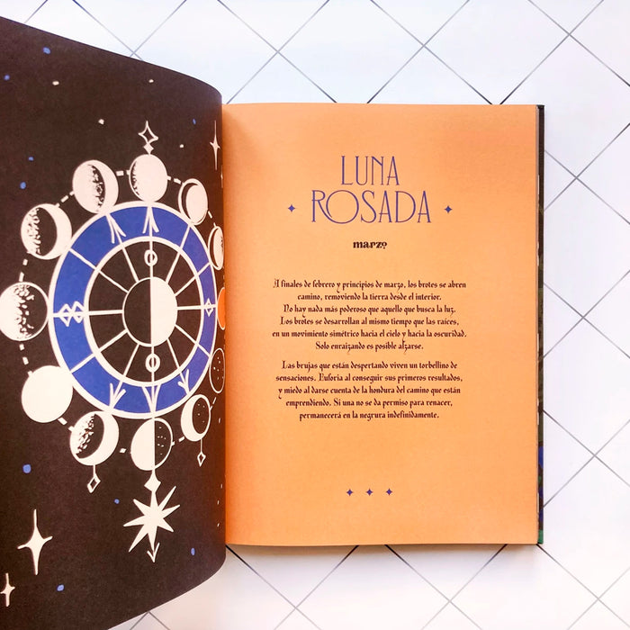 Libro - "La Vida Secreta de las Brujas" de Sofía Rhei y Ana Müshell