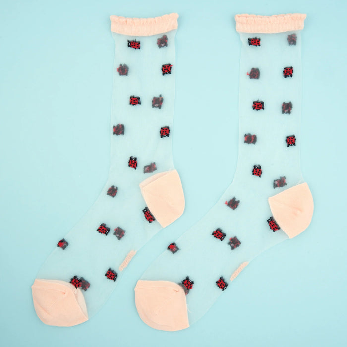 Calcetines transparentes - Mariquita 🐞