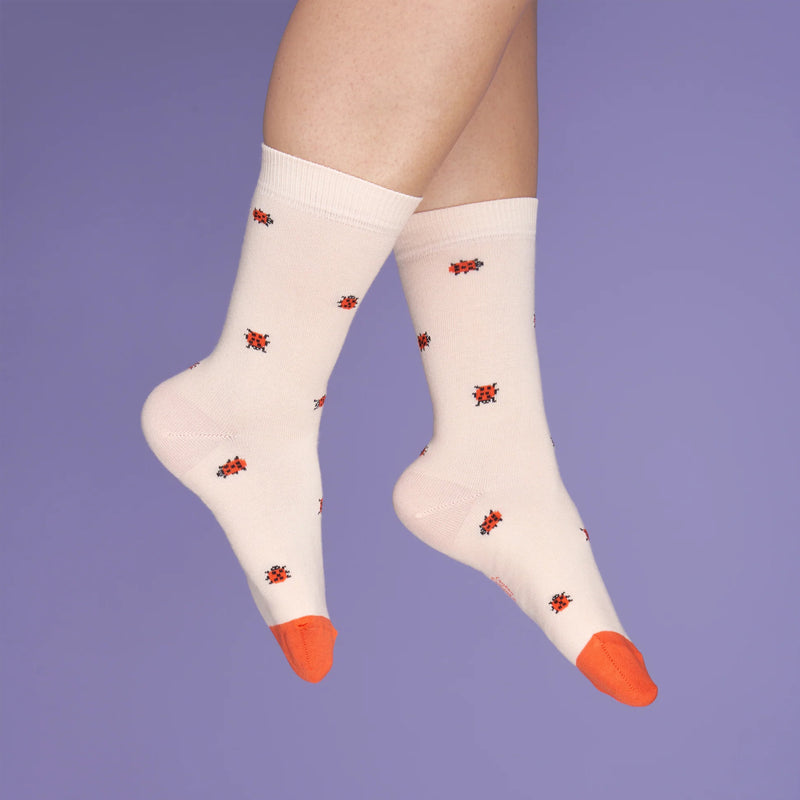 Calcetines - Mariquita 🐞