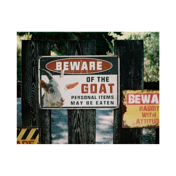 Película Lomography - Color '92 Sun-Kissed 400 110