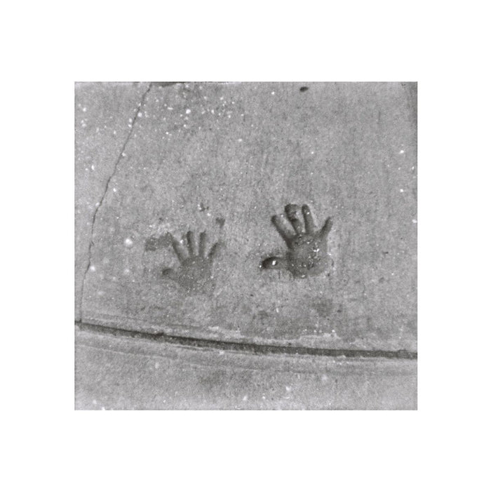 Película Lomography - Orca Black & White 100 110