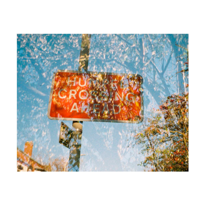 Cámara Lomography - Lomomatic 110 Golden Gate