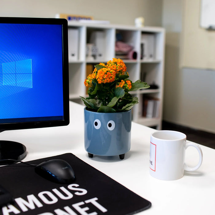 Macetero - Ojos Azul 👀