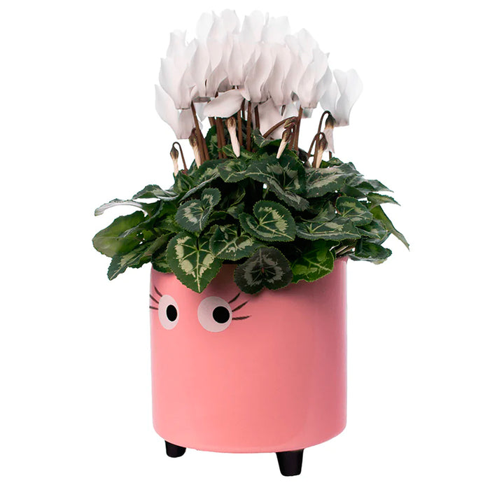 Macetero - Ojos Rosa 👀