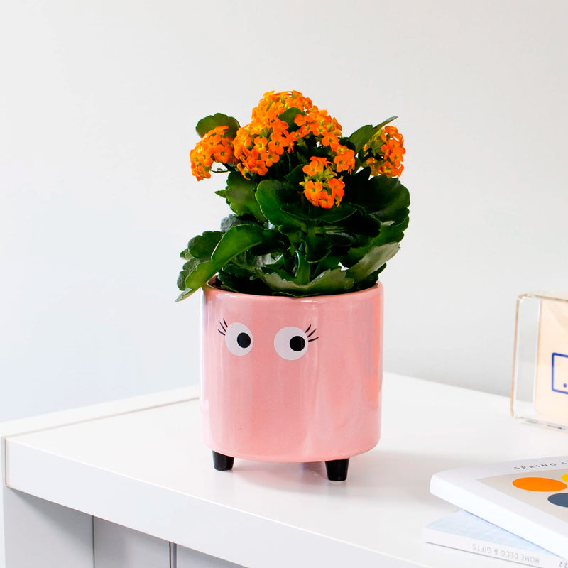 Macetero - Ojos Rosa 👀