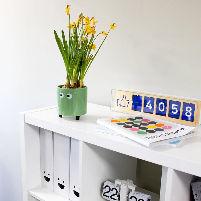 Macetero - Ojos Verde 👀