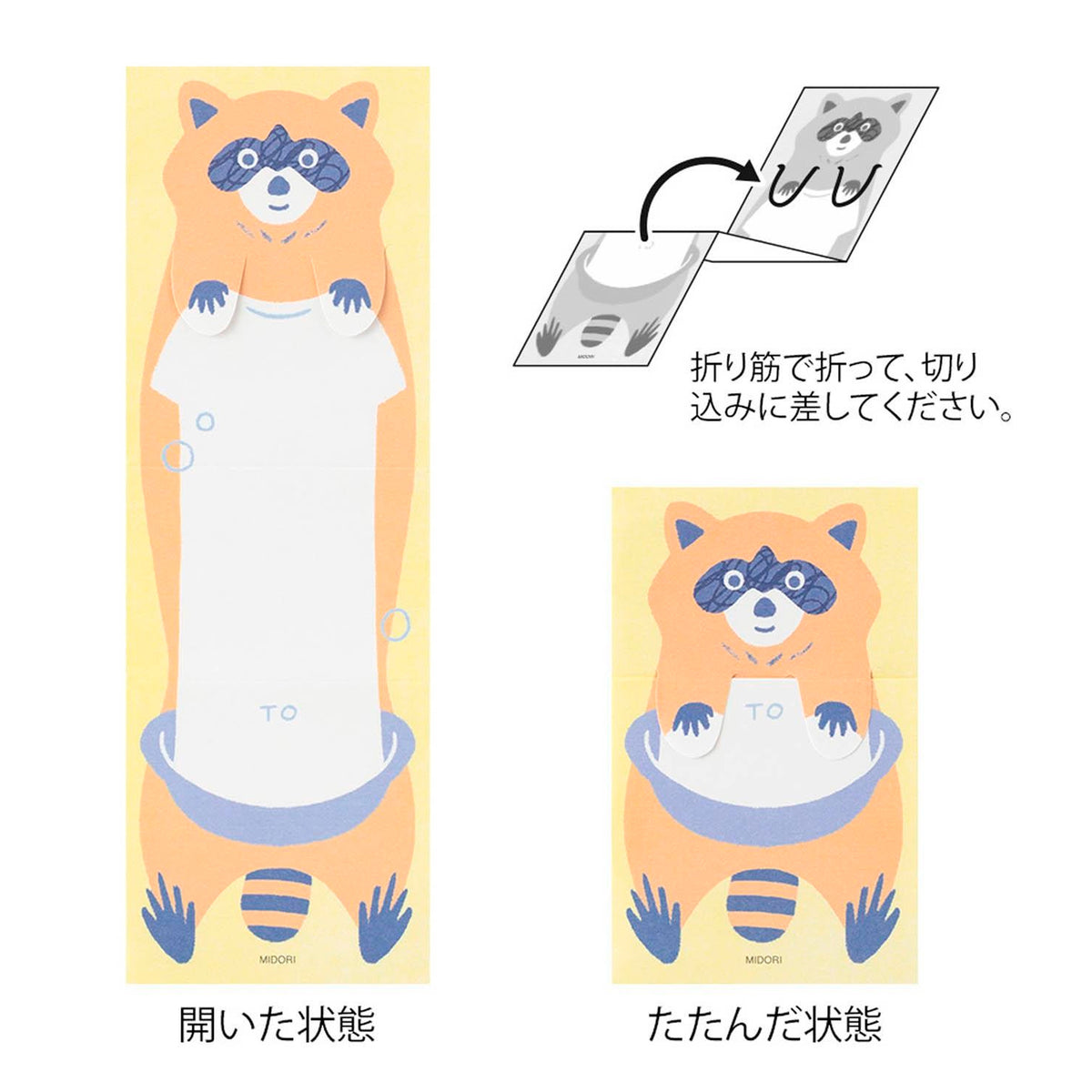 Set tarjetas extensibles Midori - Raccoon 🦝