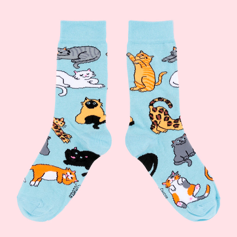 Calcetines - Meow