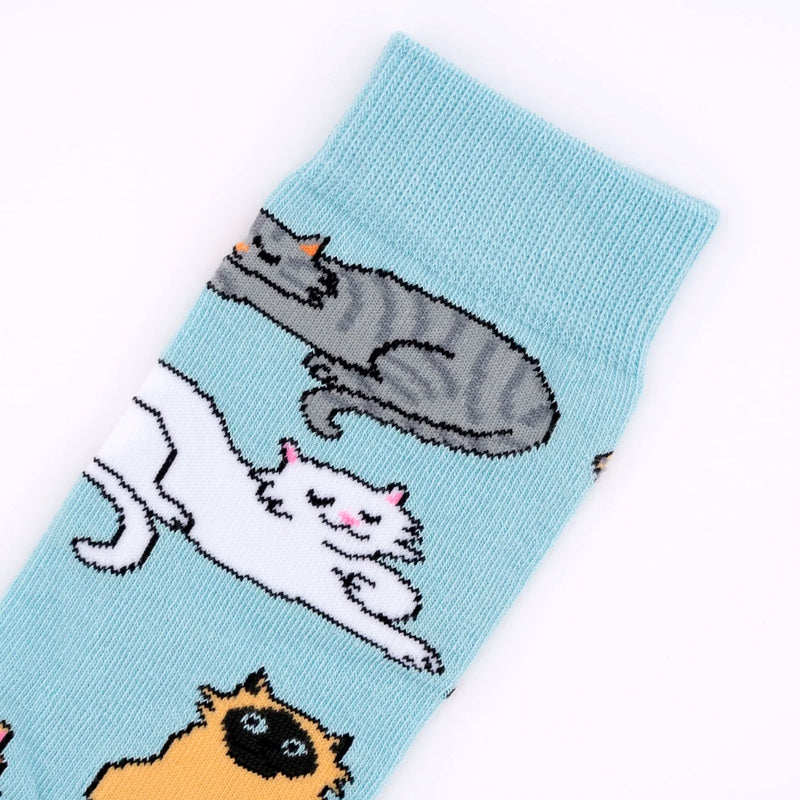 Calcetines - Meow