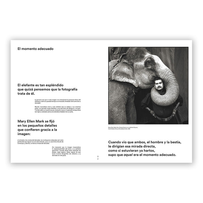 Libro - "¡Mirar!" de Joel Meyerowitz