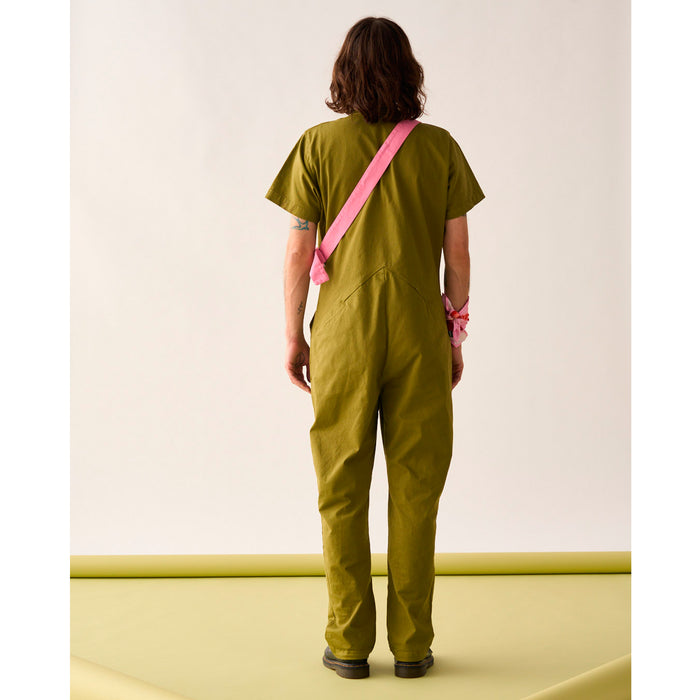 Mono Pitagora - Pistacho