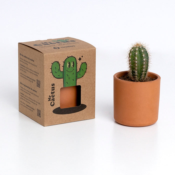 Kit autocultivo - Mr. Cactus 🌵