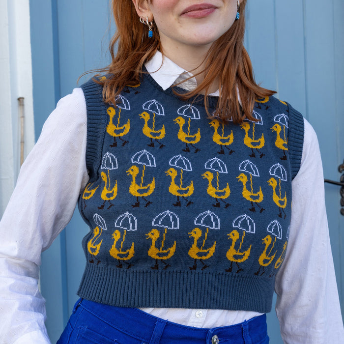 Chaleco - Nice weather for ducks 🦆