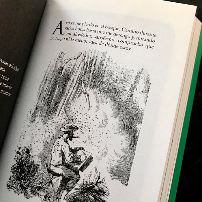 Libro - "Ojos Llenos de Árboles" de Pablo Gallo