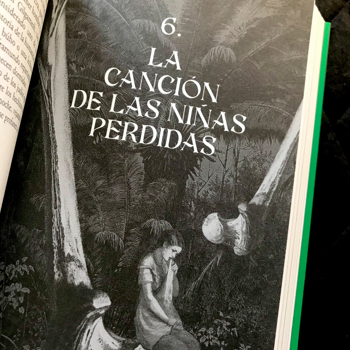 Libro - "Ojos Llenos de Árboles" de Pablo Gallo