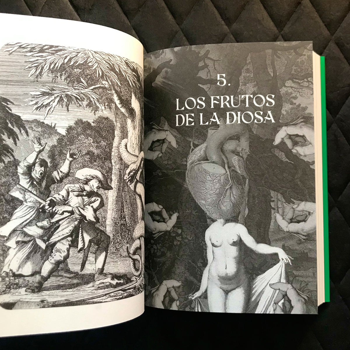 Libro - "Ojos Llenos de Árboles" de Pablo Gallo