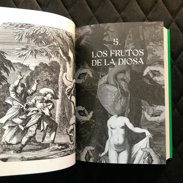 Libro - "Ojos Llenos de Árboles" de Pablo Gallo