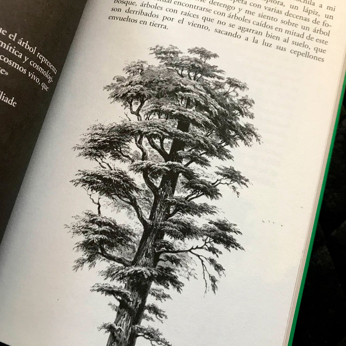 Libro - "Ojos Llenos de Árboles" de Pablo Gallo