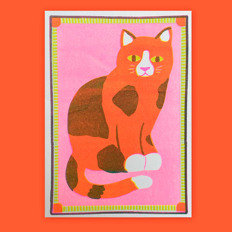 Print de Naomi Wilkinson A5 - "Orange Patchy Cat" 🐱