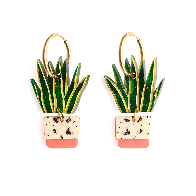 Pendientes - Sansevieria