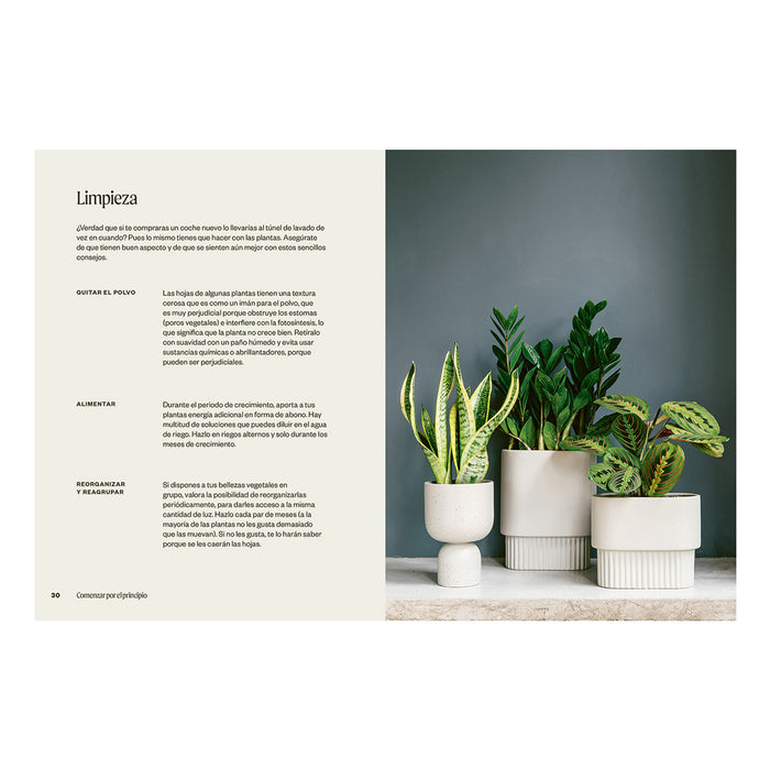 Libro - "Plantas Inmortales" de Jo Lambell