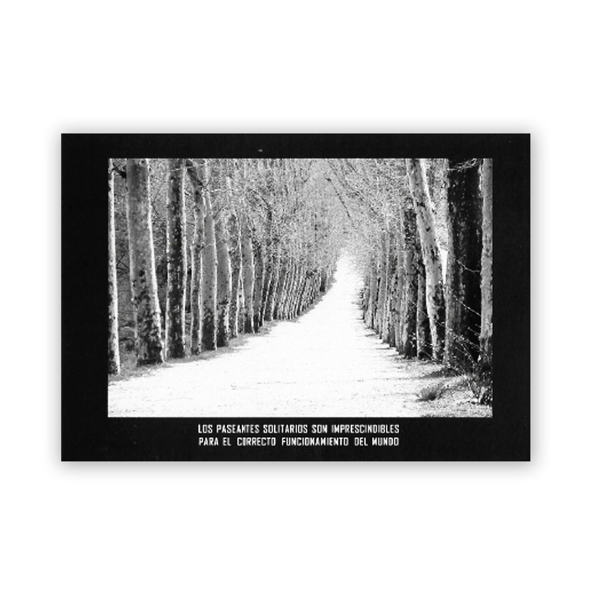 Postal - "Los Paseantes Solitarios Son Imprescindibles"