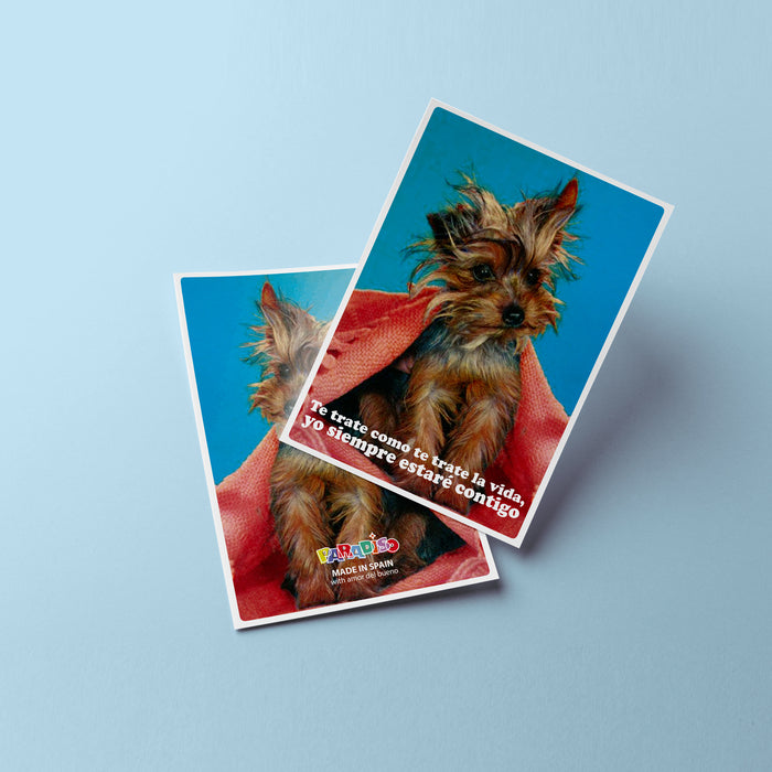 Postal - "Te trate como te trate la vida, yo siempre estaré contigo"