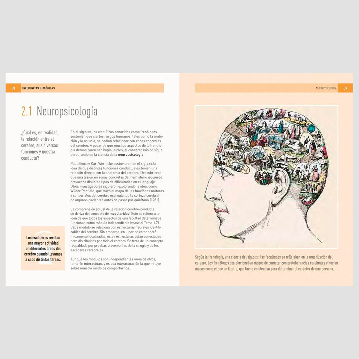 Libro - "Psicología, 100 conceptos" de Christopher Sterling y Daniel Frings